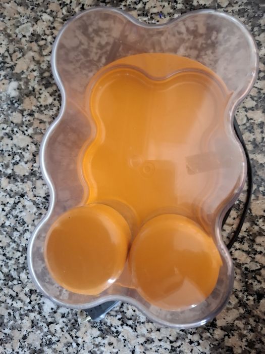 Iogurteira Krups para 6