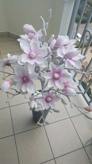 Drzewko Magnolia