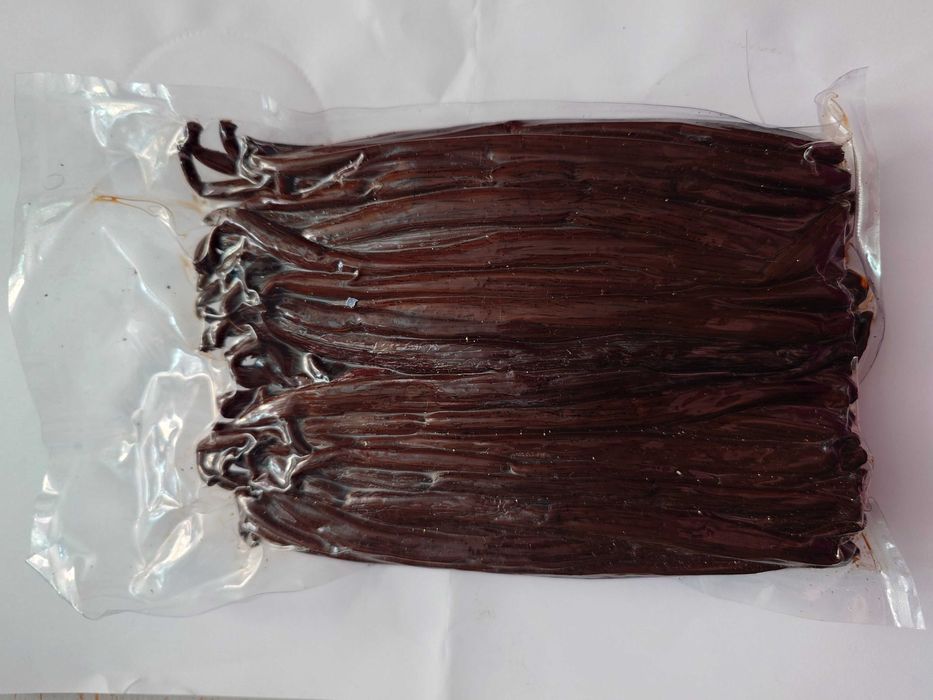 Świeża wanilia z Madagaskaru 500g Bourbon w laskach 16-18cm