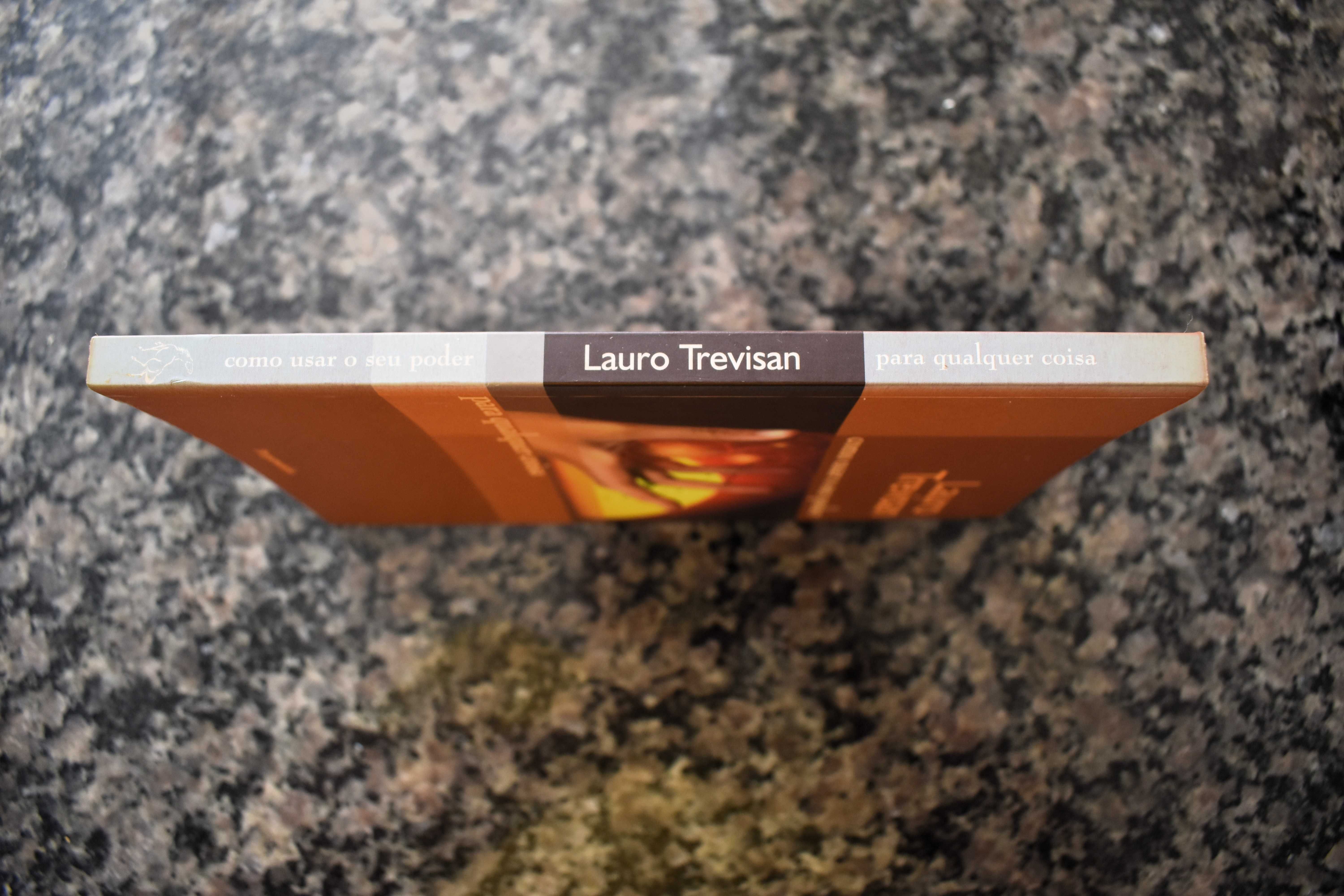Lauro Trevisan - Como usar o seu poder para qualquer coisa