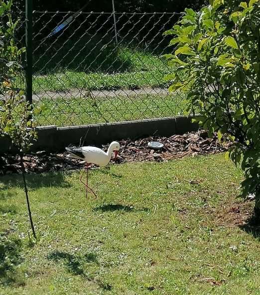 2 szt. figurki ogrodowe bocian bociek do ogrodu duży ozdoba