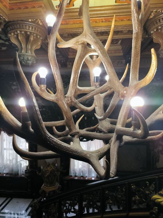Люстри та  бра з рог  оленя