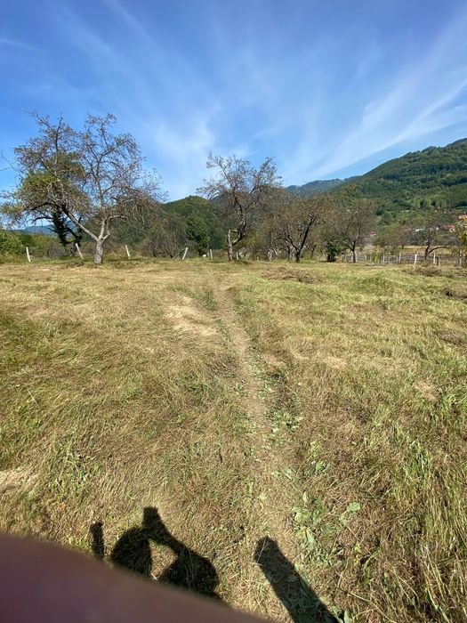 Земельна ділянка