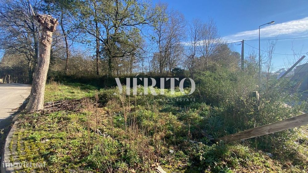 Terrenos Individuais Palmeira- Braga!