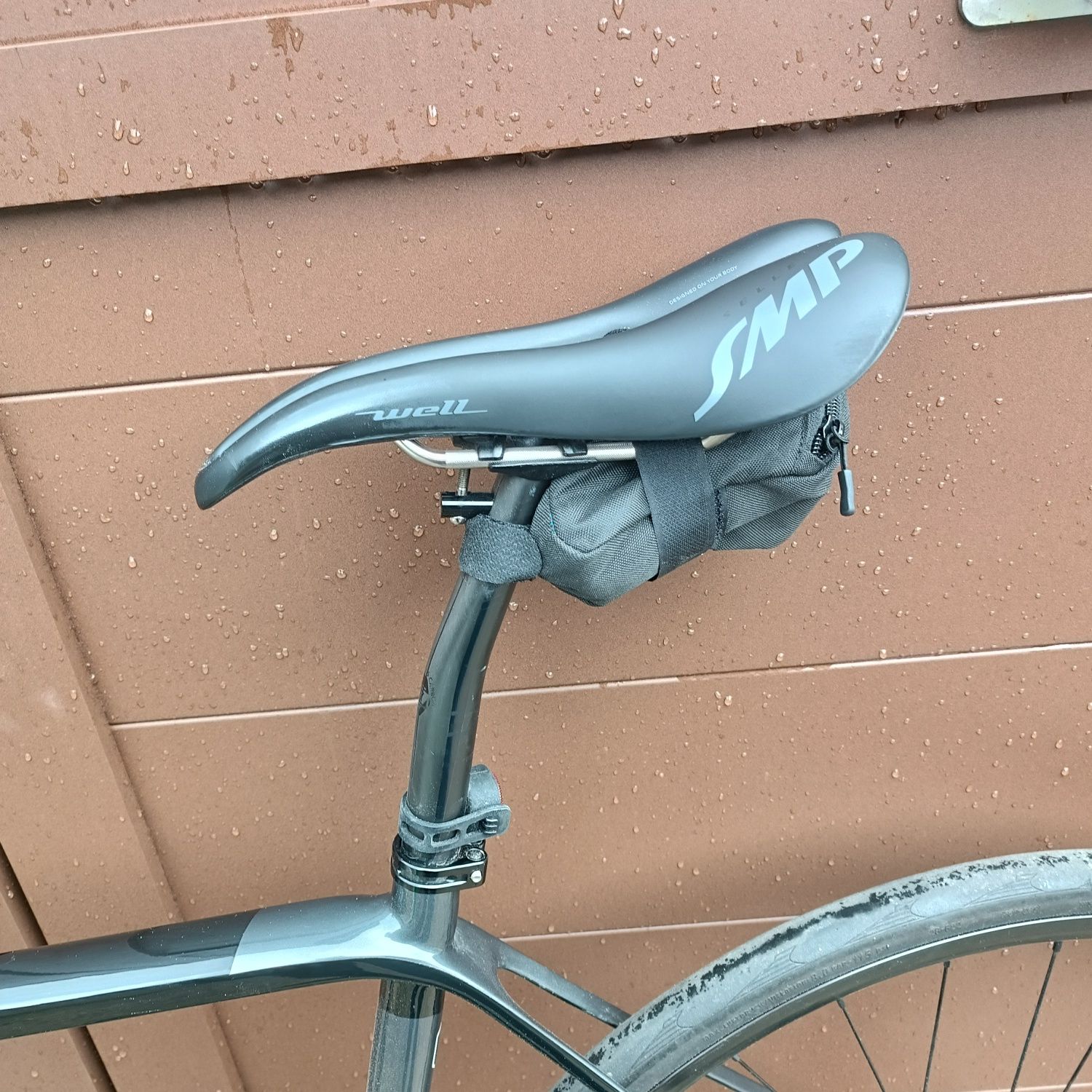 Coluer invicta disc