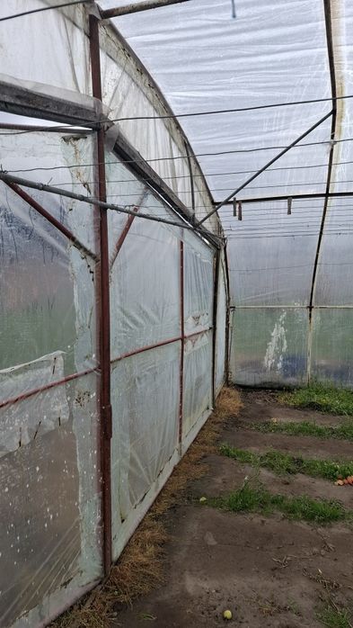 Tunel foliowy stelaż + folia