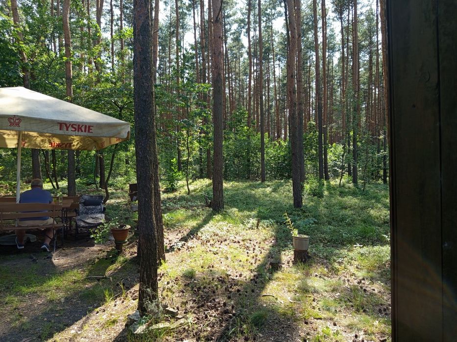 Magiczne miejsce nad Zalewem Nakło Chechło