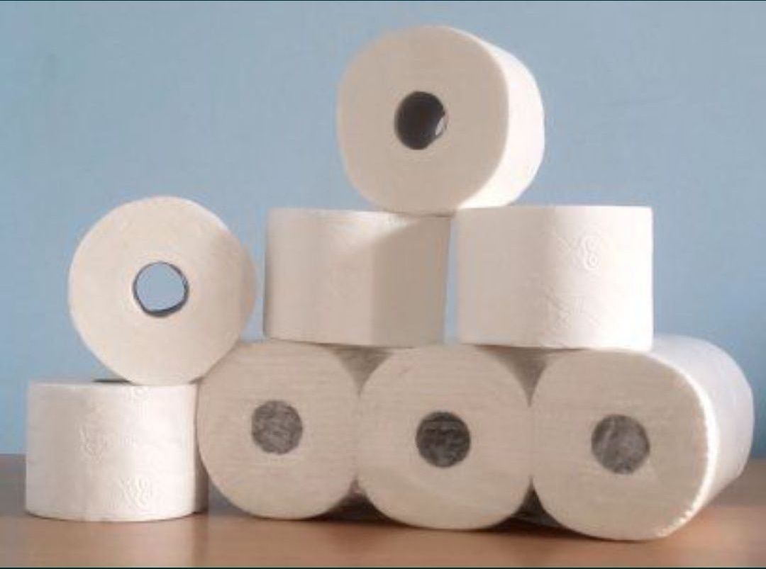 Papier toaletowy 120 rolek/12x10 sztuk (100% celuloza)