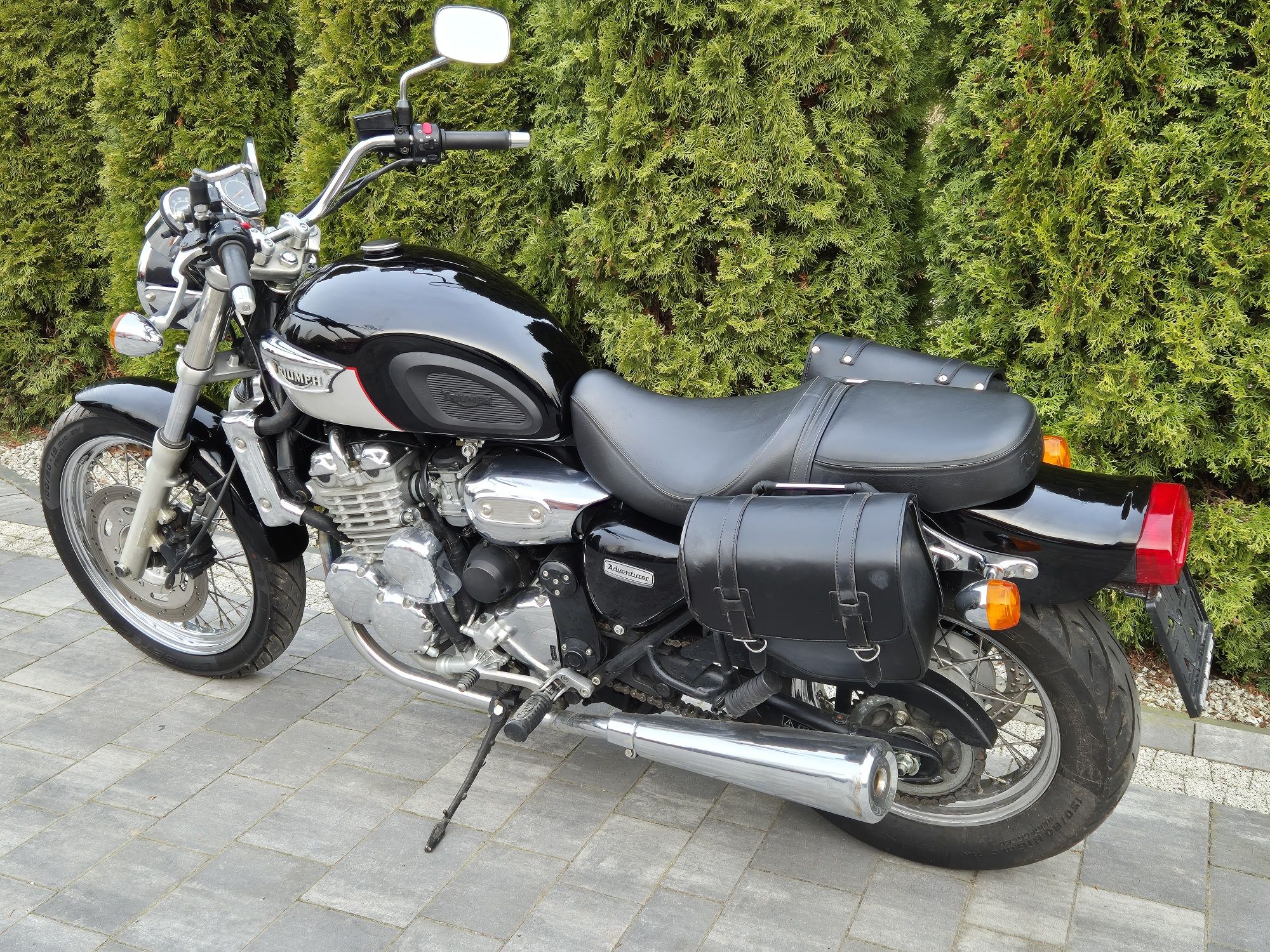 Triumph Adventurer 900 Zadbany w oryginale