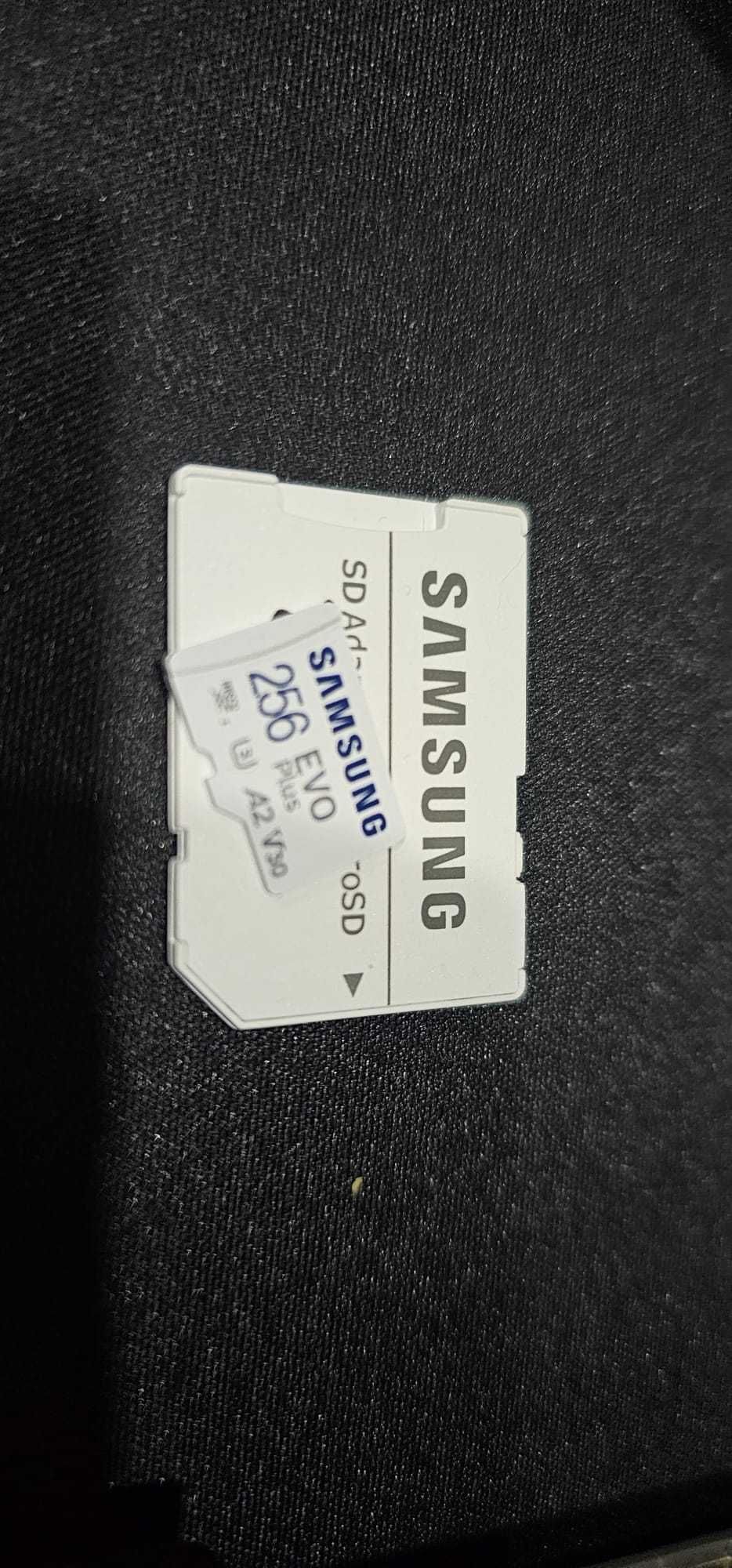 Steam Deck 256 GB NVMe + 512GB Samsung Evo- Consola Portátil