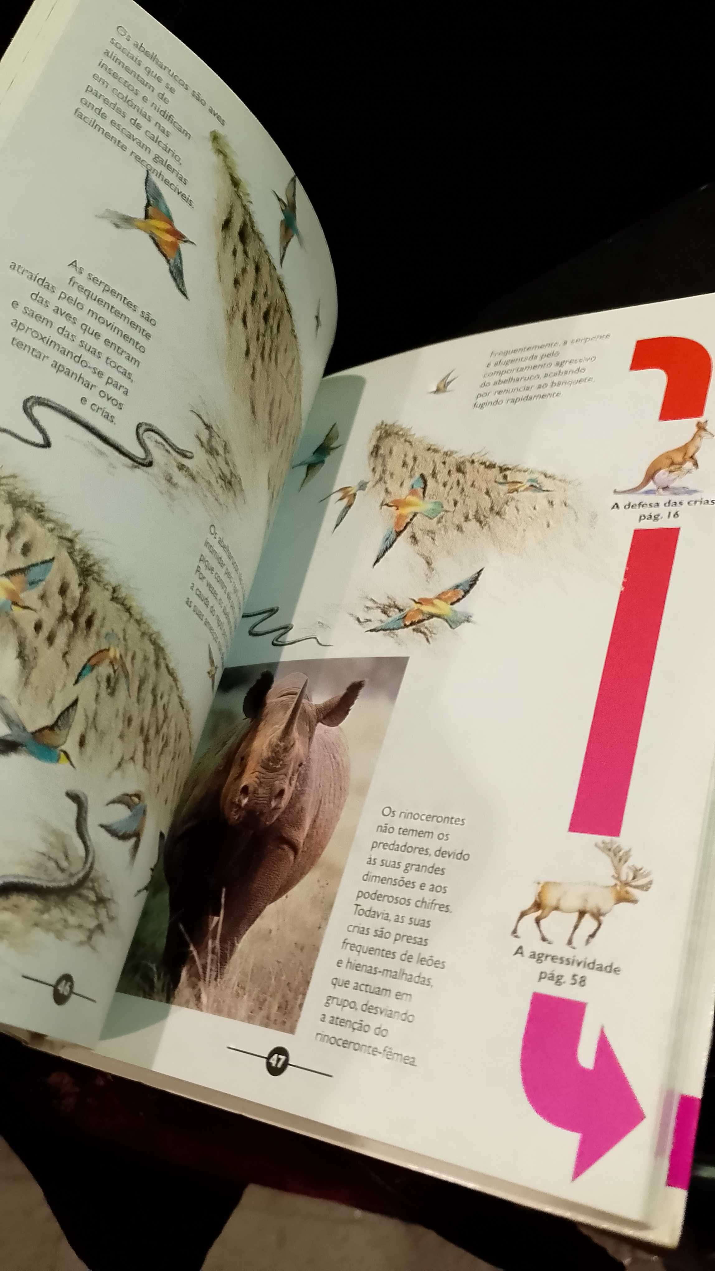 O Comportamento Animal - Giuseppe Maria Carpaneto