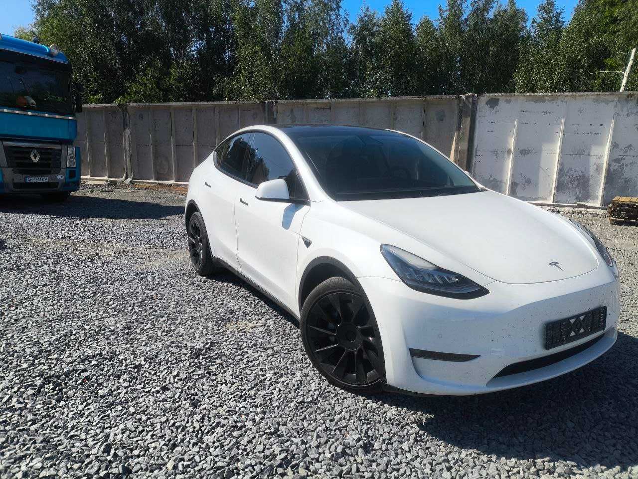 Tesla Model Y Long Range Dual Motor 21рік