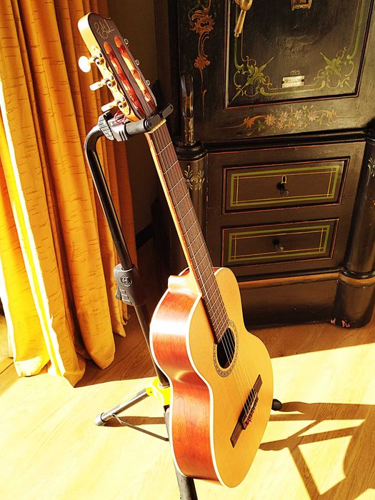 Godin Guitarra Parlor Nylon
