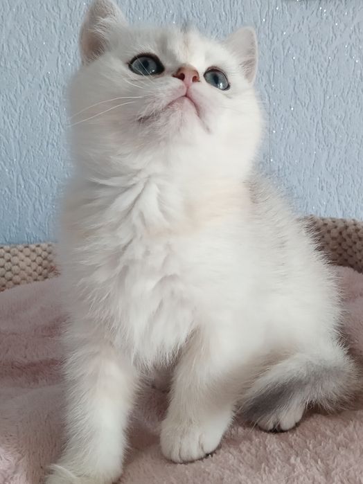 Дуже чекаю мамочку