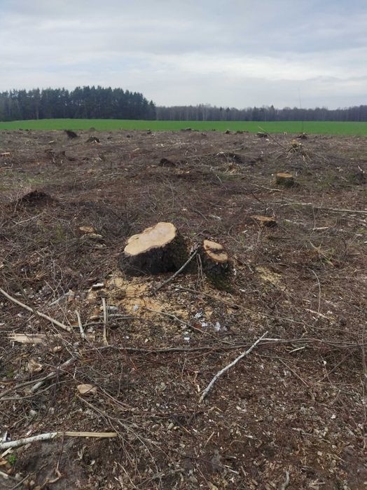 Mulczer leśny, wgłębny powierzchniowy usługi mulczerem czyszczenie