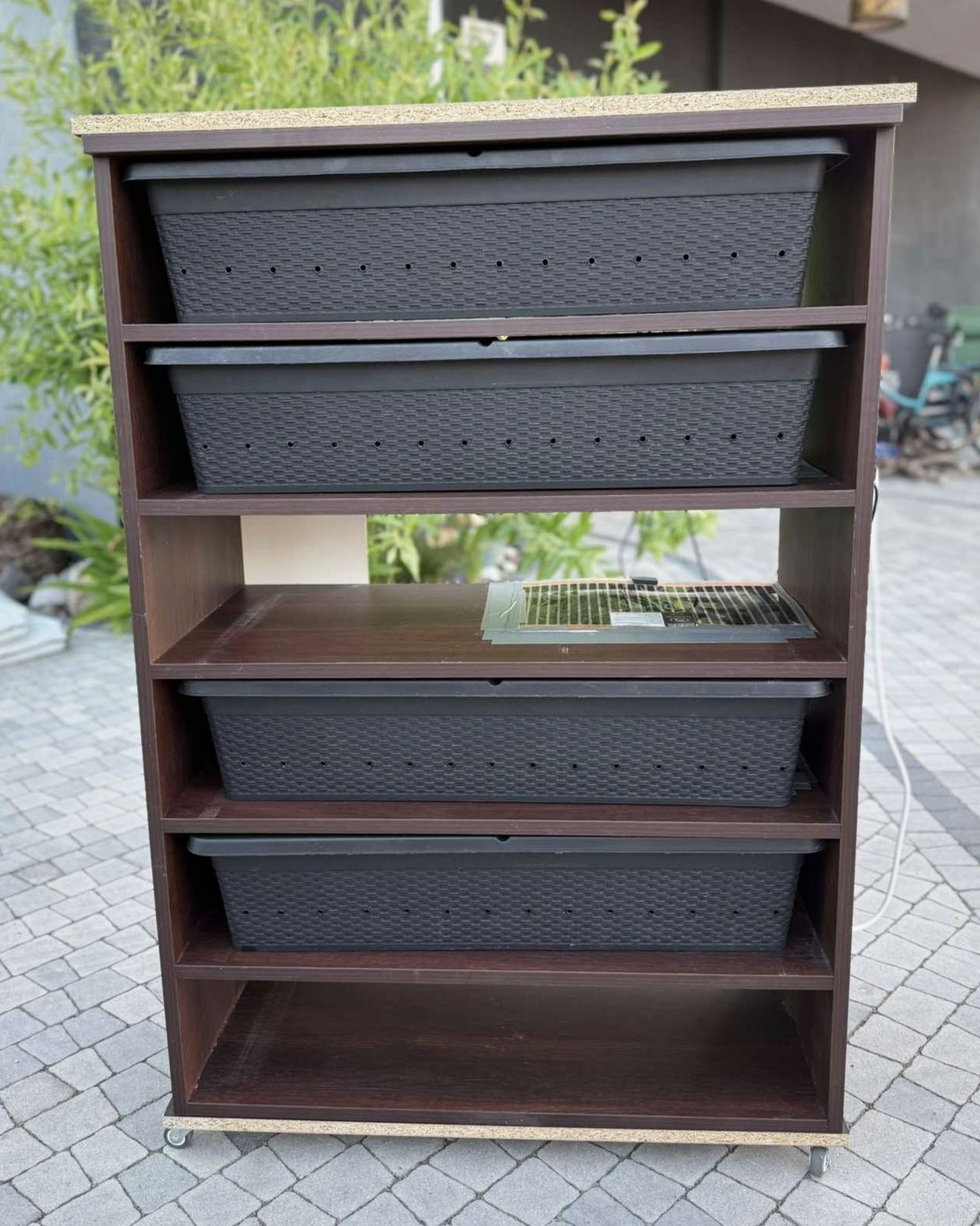 Rack system, szafka dla gadów, węży, gekonów, eublefarów