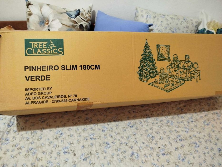 Pinheiro de natal