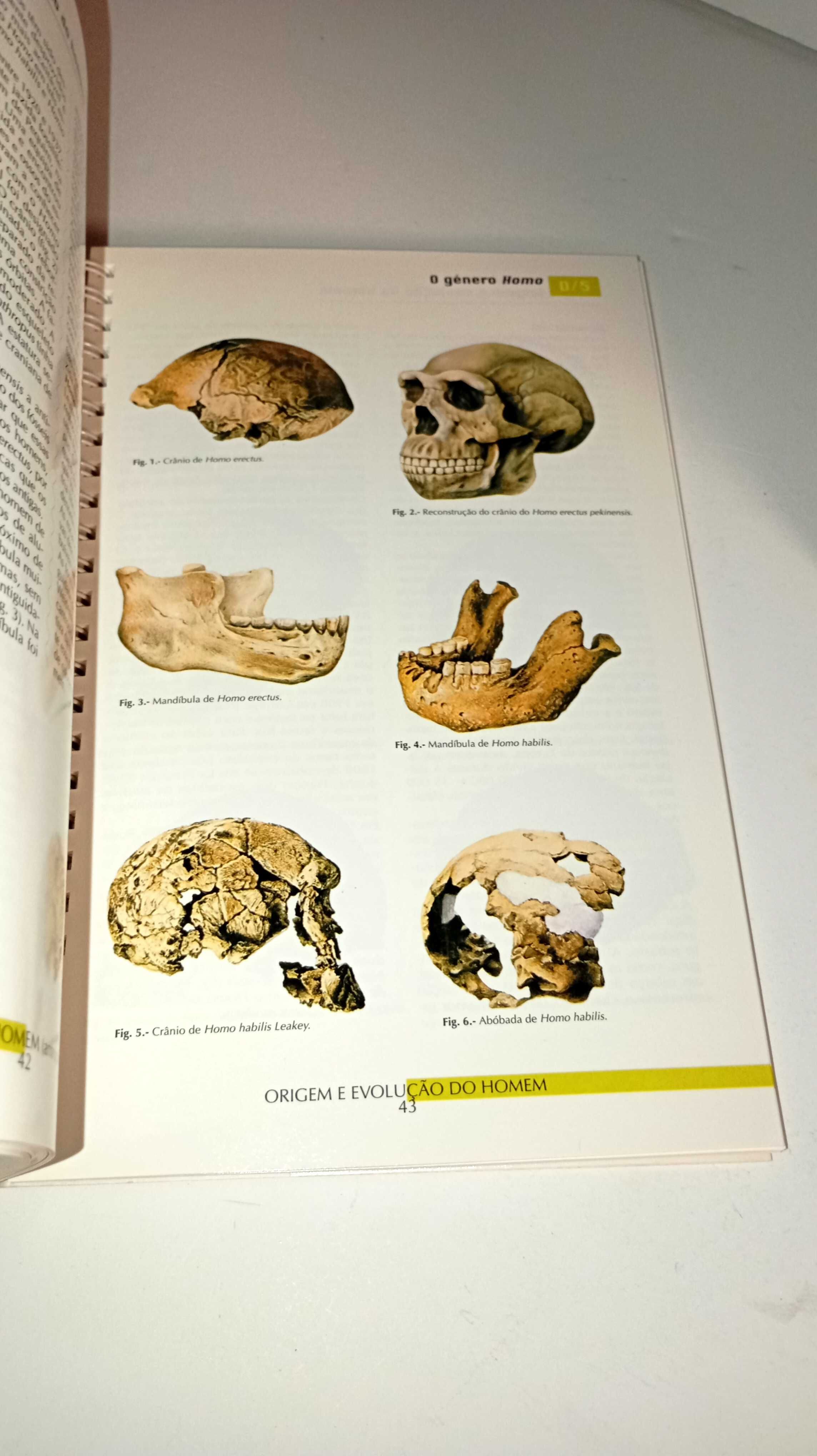 Atlas Temáticos - 5 livros