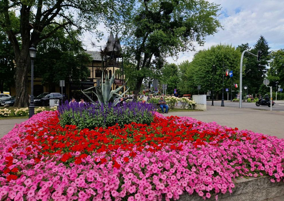 Pokoje- noclegi dla singli, par, małżeństw w Ciechocinku