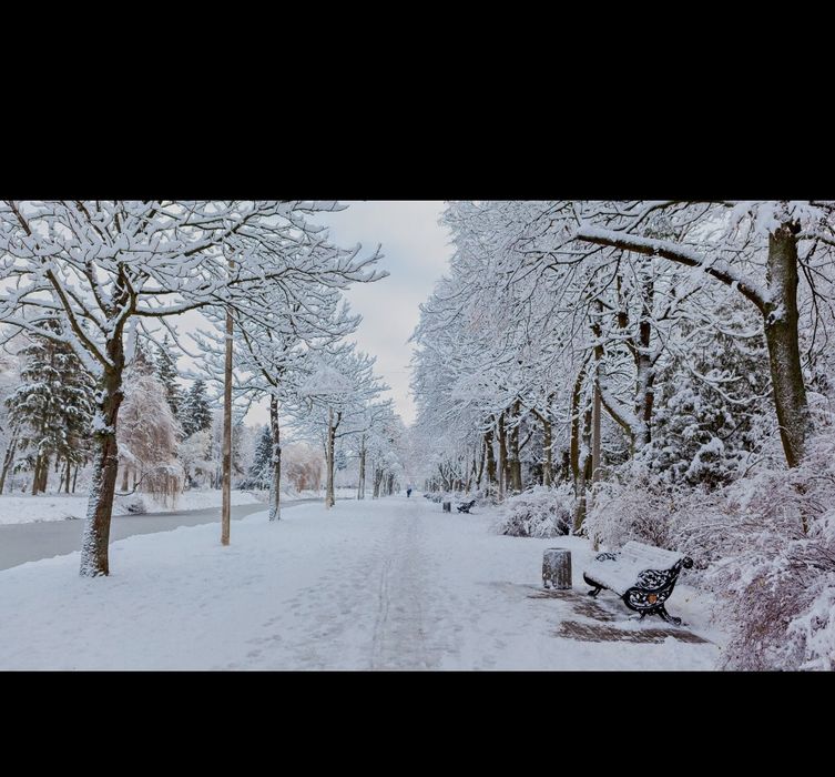 Odśnieżanie sypanie solą Pruszków