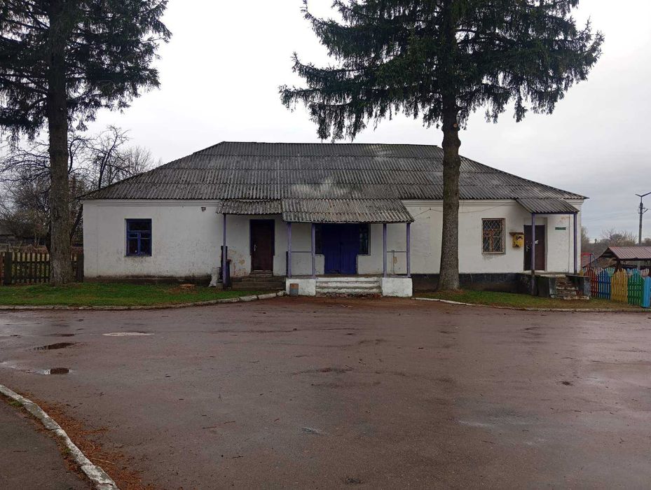 Нежитлова будівля 201.4 м2, Левковичі, вул. Центральна 4