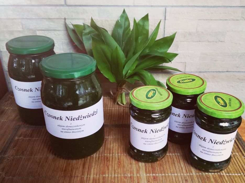 Czosnek niedźwiedzi PESTO, mielony, słoiki oraz świeże liście 25zł/kg