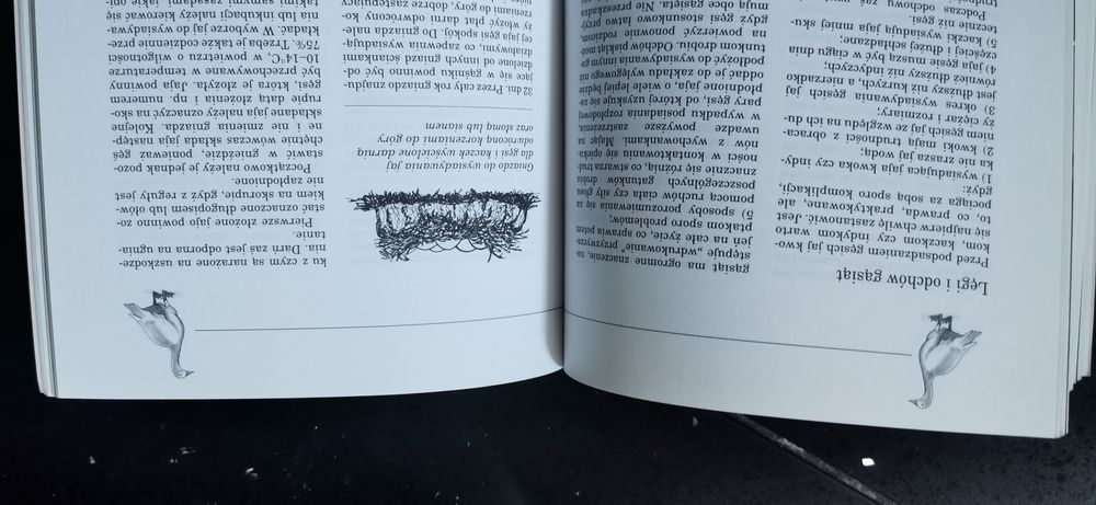 Przydomowy chów drobiu - Stern Alice Kury Gęsi Kaczki  Indyki