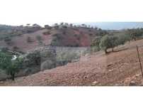 Propriedade com 9 hectares em Vila Nova de São Bento