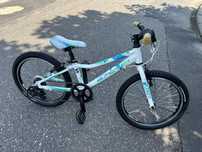 Rower Superior  20 cali Aluminium Lekki Paint