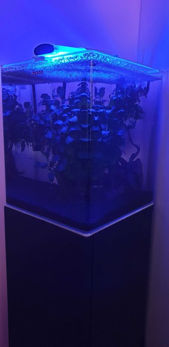 Aquael Optibent 30 optiwhite + szafka + filtry +życie