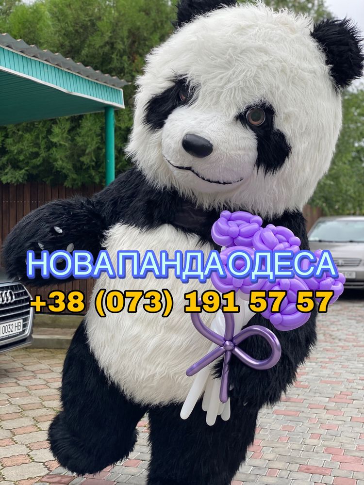 ПАНДА. БЕЛЫЙ МИШКА. Поздравление. День Рождения. Аниматоры Одесса
