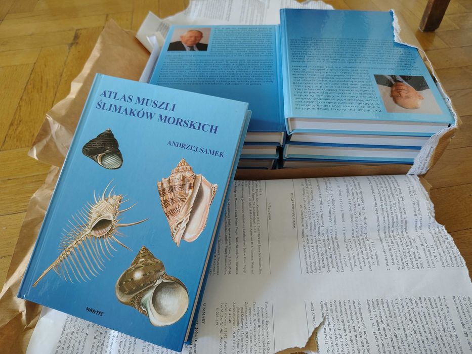 Atlas muszli NOWA wyprzedaż