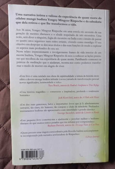 Amar o Mundo - Yongey Mingyur Rinpoche