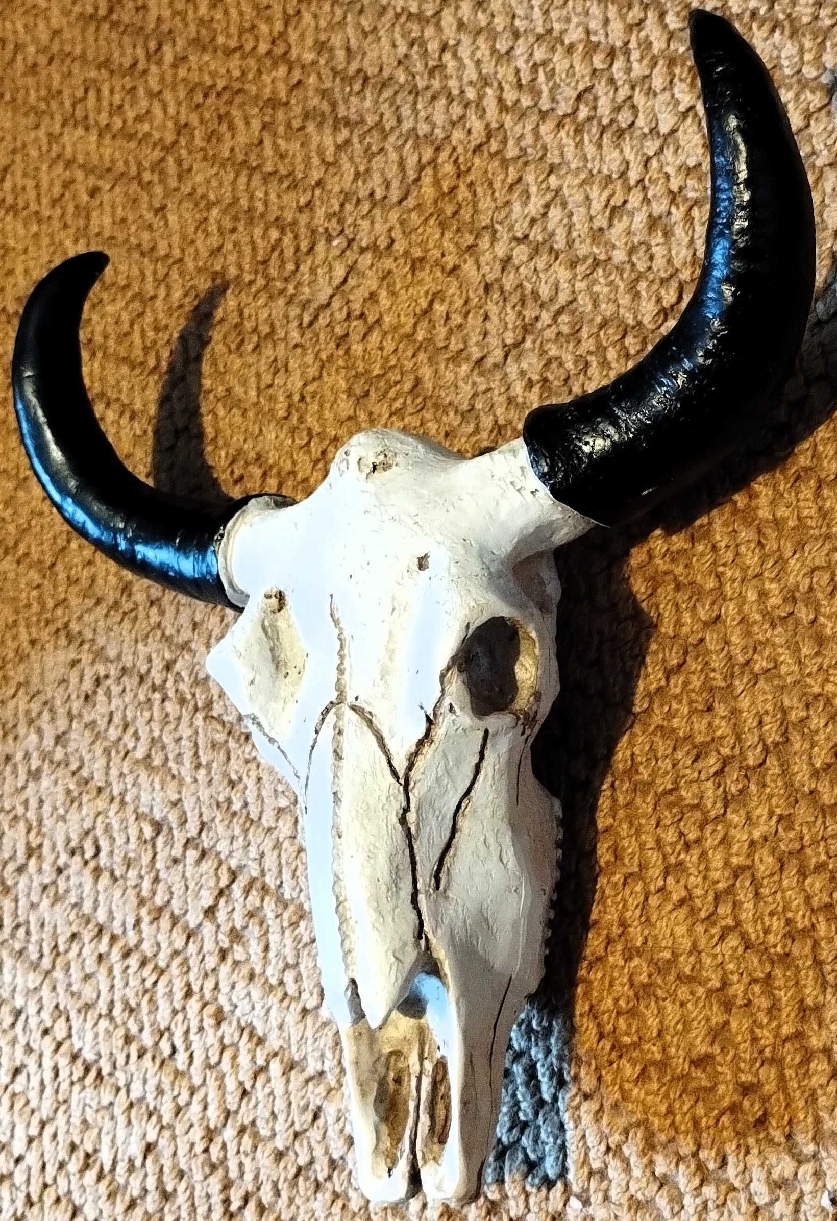 Caveira Cranio Vaca Decorativo