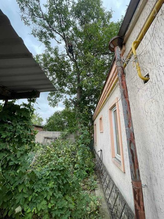 Спил дерев Обрізка дерев
Дроблення гілок
Корчування пнів