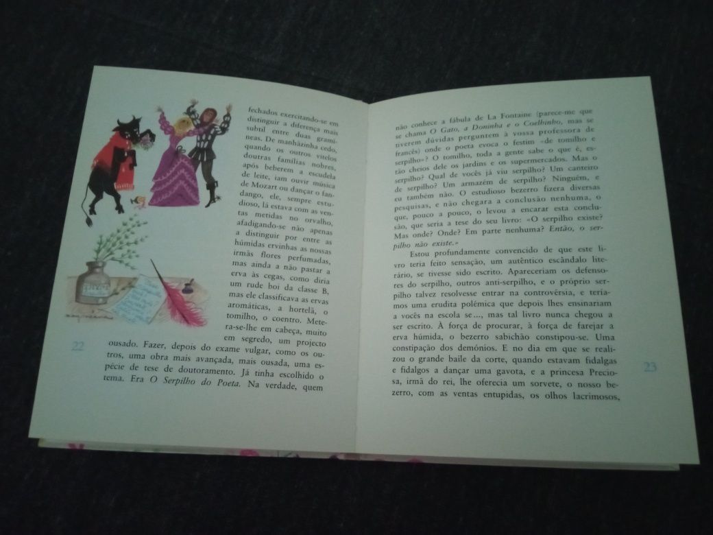 Livro Infantil Usado