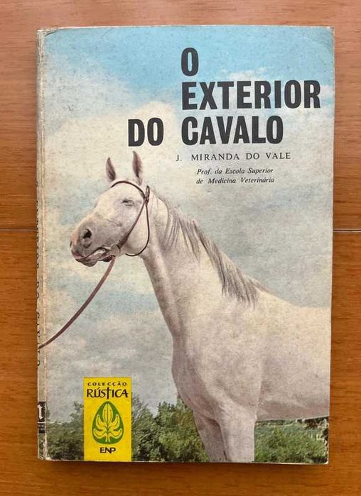 "O Exterior do Cavalo" de José Miranda do Vale