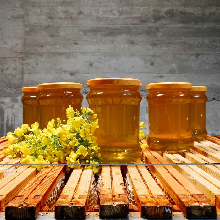 Naturalny Miód Rzepakowy z Własnej Pasieki – Prosto z Ula Woźniki 2025