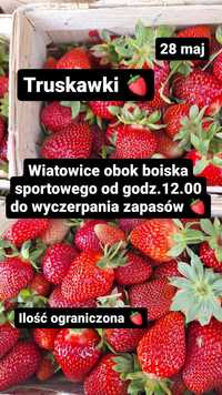 Truskawki w Wiatowicach