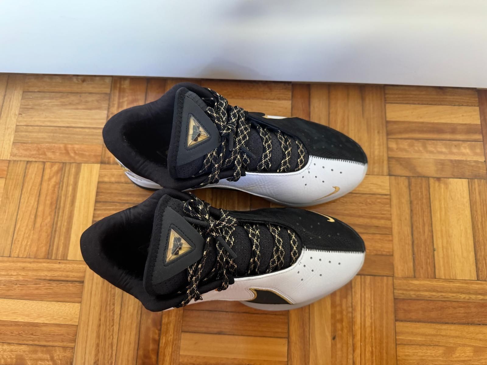 Sapatilhas Nike Edição LeBron James XXII
