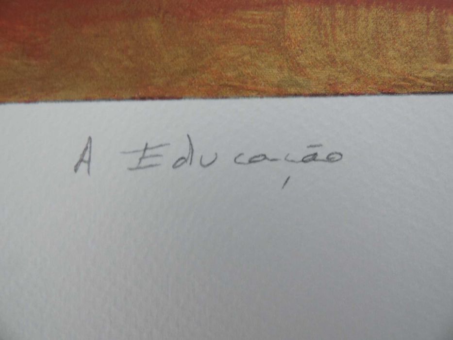 Serigrafia A Educação - Luzia Lage