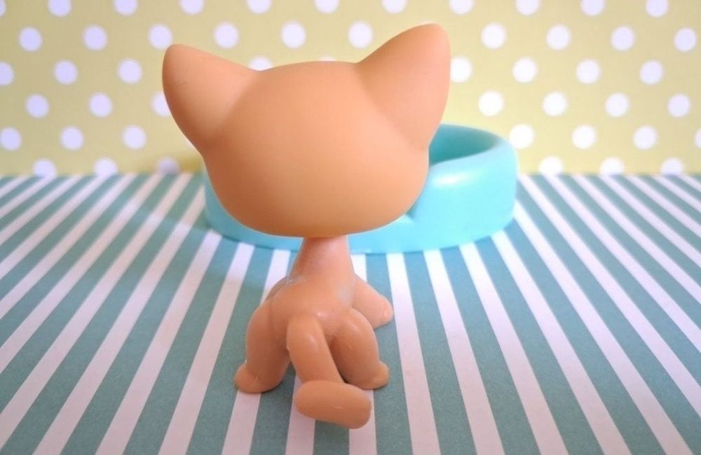 Littlest Pet Shop LPS unikatowy kot Shorthair #71 pop