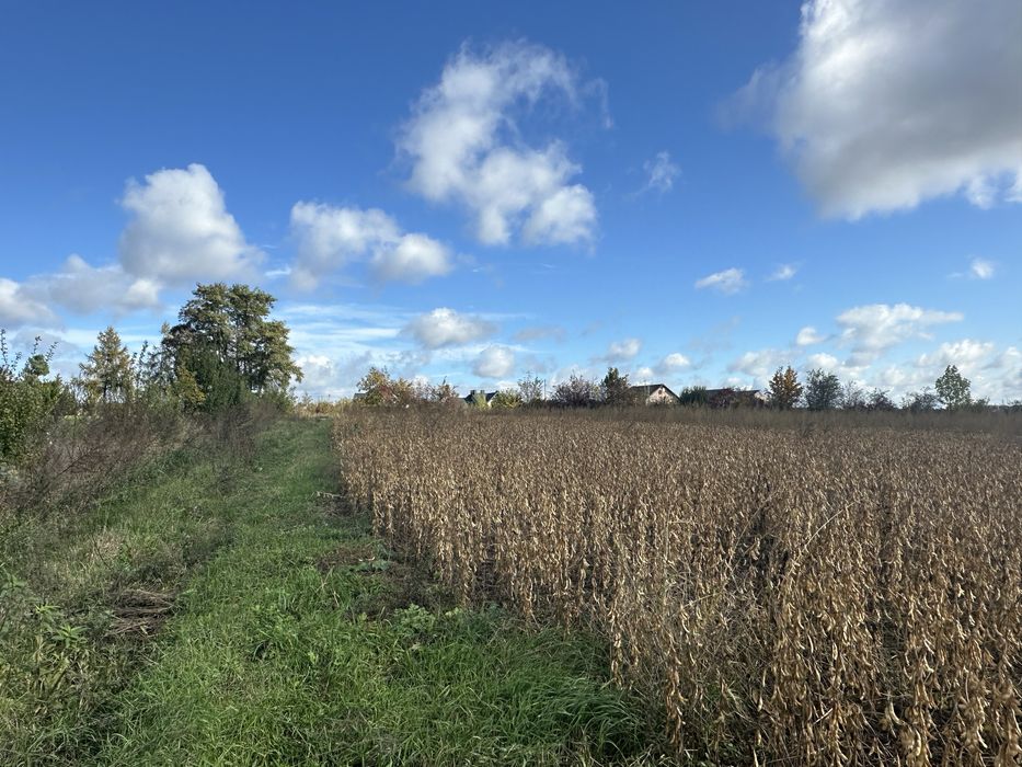 Ділянка під житлову забудову 2,54 га с. Біла