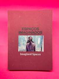 Espaços Imaginados | Imagined Spaces