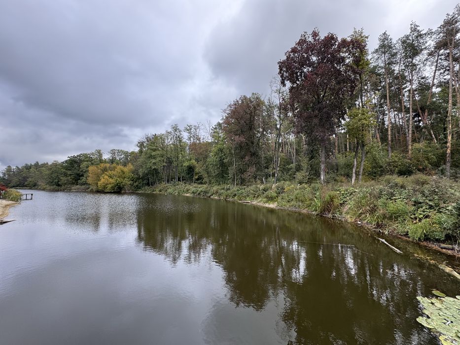 Ділянка з виходом на воду, сосновий ліс, ЗКМ Чумаків Куточок Ходосівка