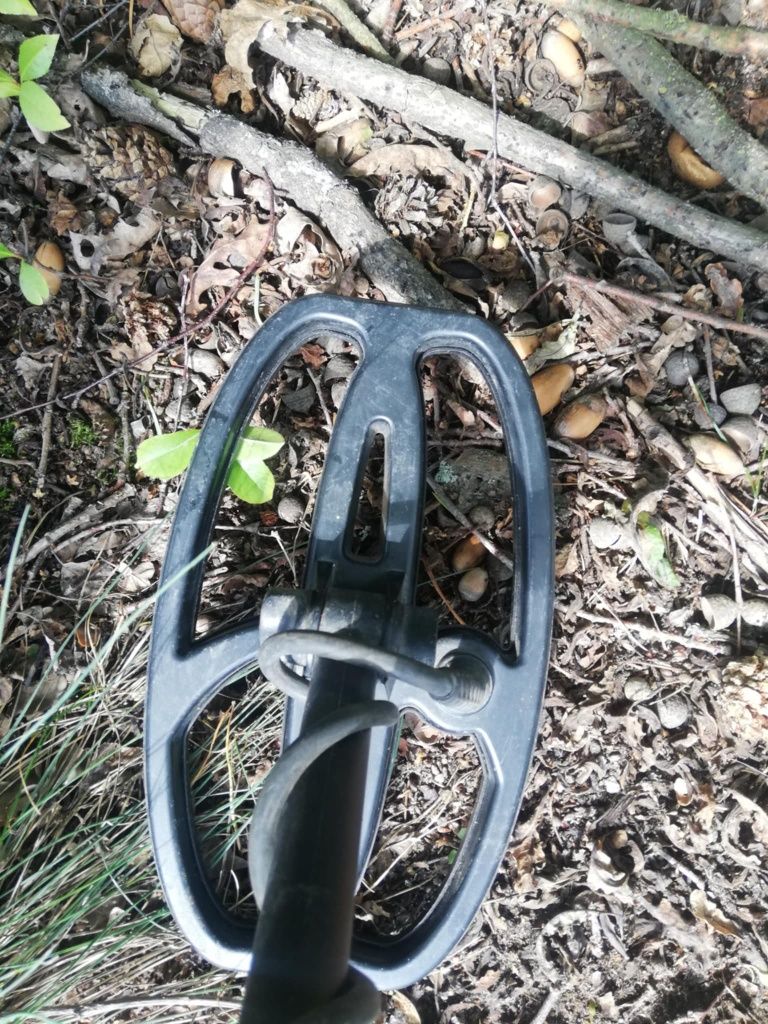 Wykrywacz metali quest x5 + gp pointer