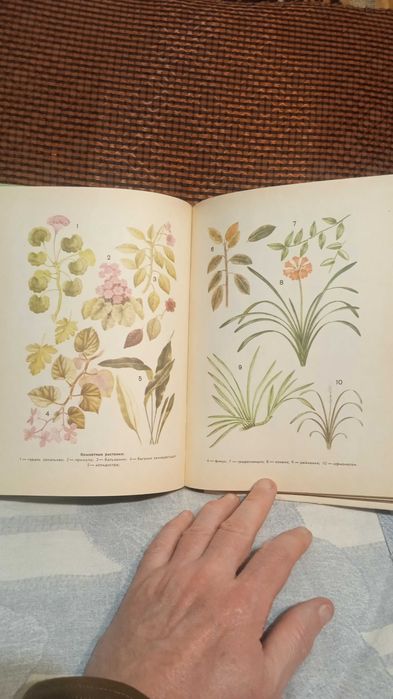 Уголок природы в детском саду.