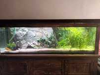 Akwarium/terrarium 450 l