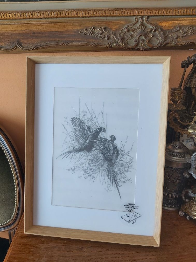 Piękna DUŻA grafika myśliwska BAŻANTY. Prezent dla myśliwego. Fazan.