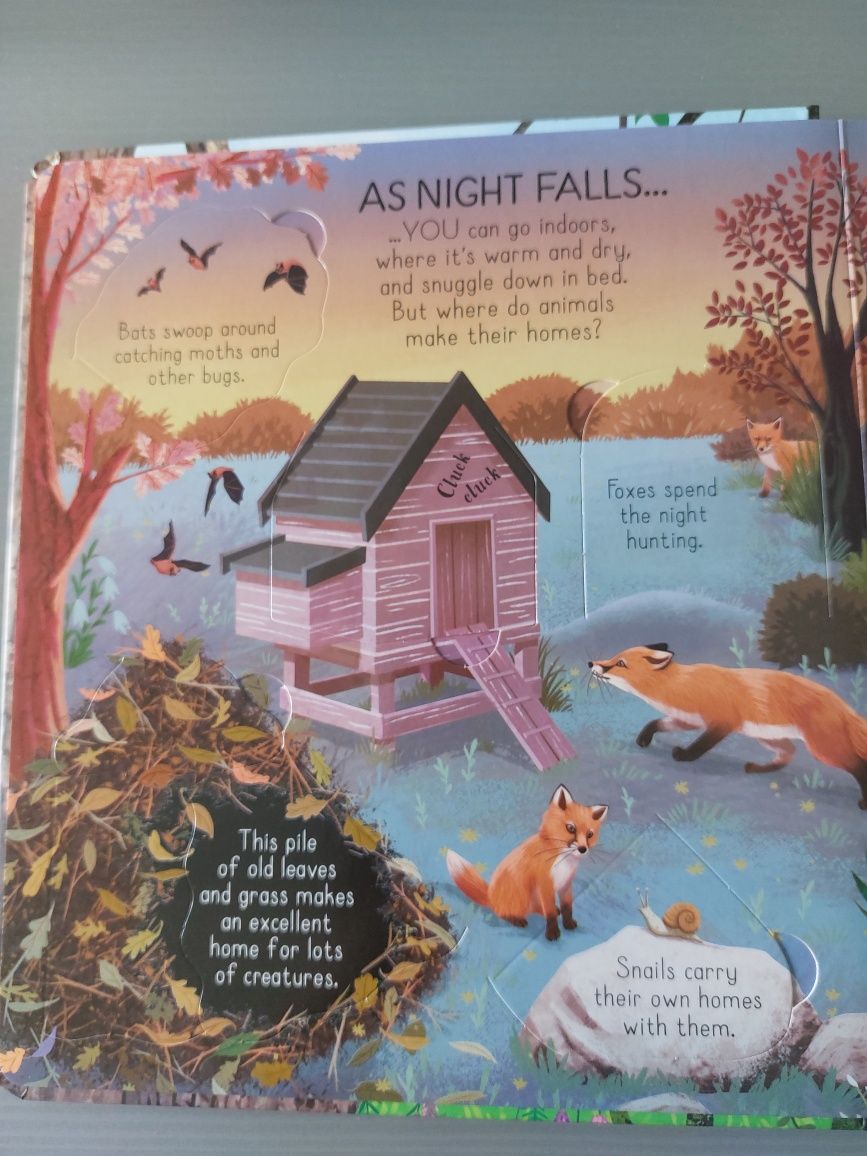 Usborne Look inside Animal Homes
